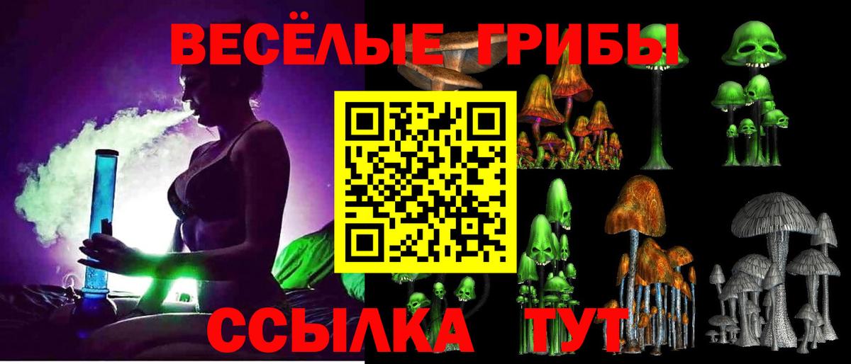 Псилоцибиновые грибы Magic Shrooms  Псилоцибиновые грибы ЛСД  Тавда  Вход с VPN 